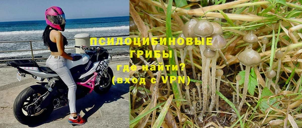 соль ск Балабаново