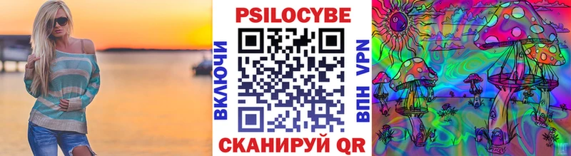 Галлюциногенные грибы Psilocybe  Купить закладки  Бирюч 